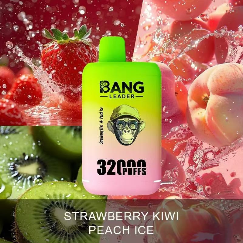Bang Leader 32000 Puffs 32K Dual Flavors Disposable Vape Wholesale