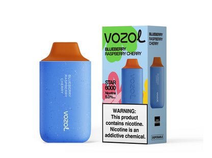 Vozol Star 6,000 puffs 500mAh battery 17 Flavors
