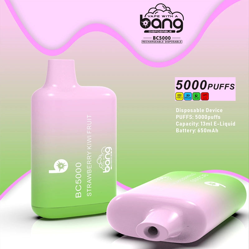 Bang BC 5000 Puffs 5K Vape Cigarette électronique jetable Wholesale