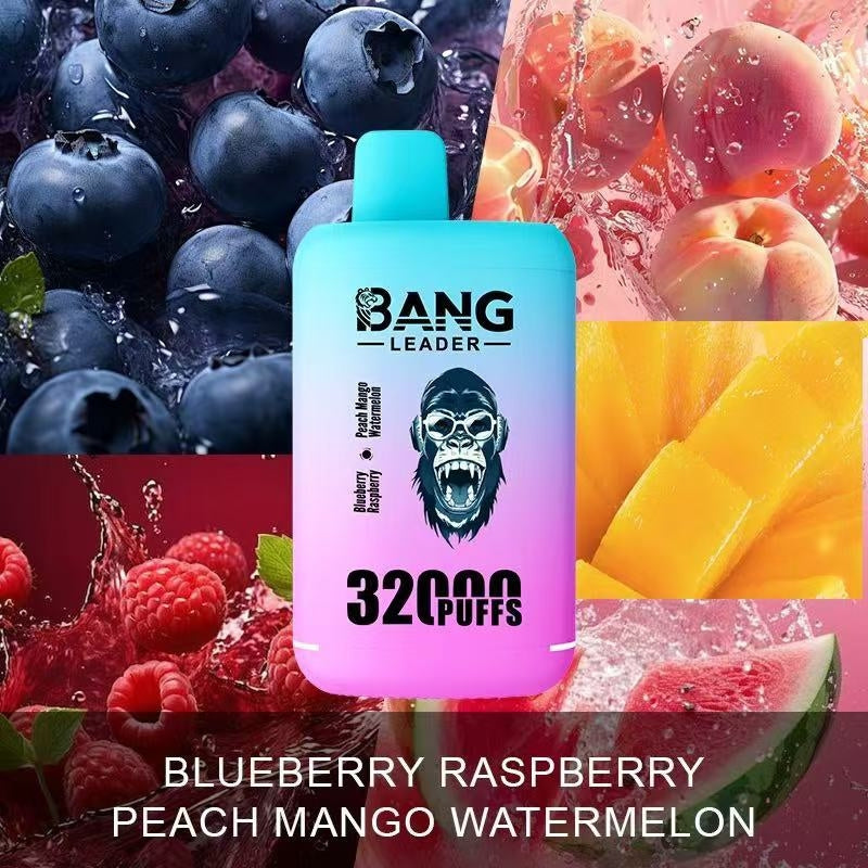 Bang Leader 32000 Puffs 32K Dual Flavors Disposable Vape Wholesale