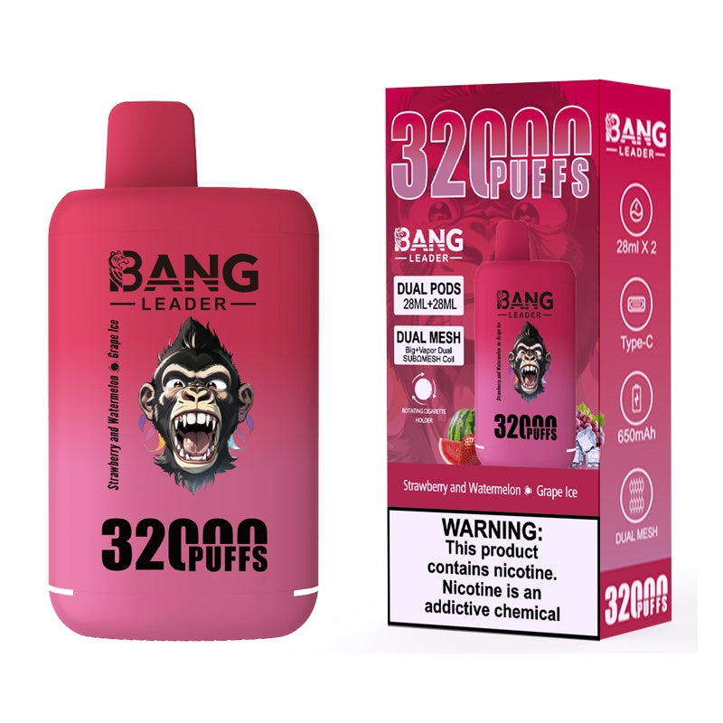 Bang Leader 32000 Puffs 32K Dual Flavors Disposable Vape Wholesale