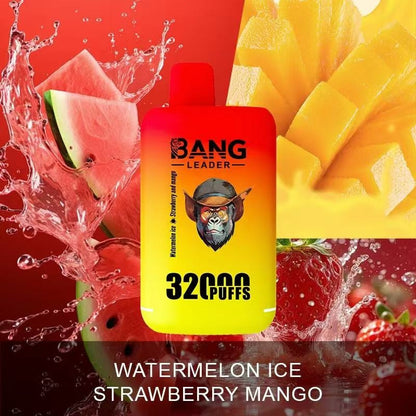 Bang Leader 32000 Puffs 32K Dual Flavors Disposable Vape Wholesale