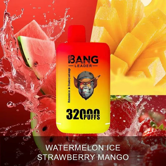 Bang Leader 32000 Puffs 32K Dual Flavors Disposable Vape Wholesale