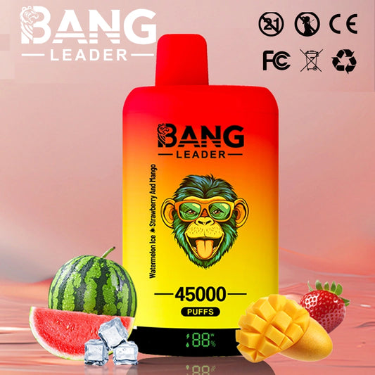 Bang Leader 45000 Puffs 45k 2 in 1 Disposable Vape Smart Screen Wholesale