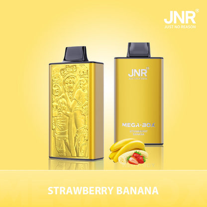 JNR Mega Box 25000 Puffs Disposable Vape (Box of 10)