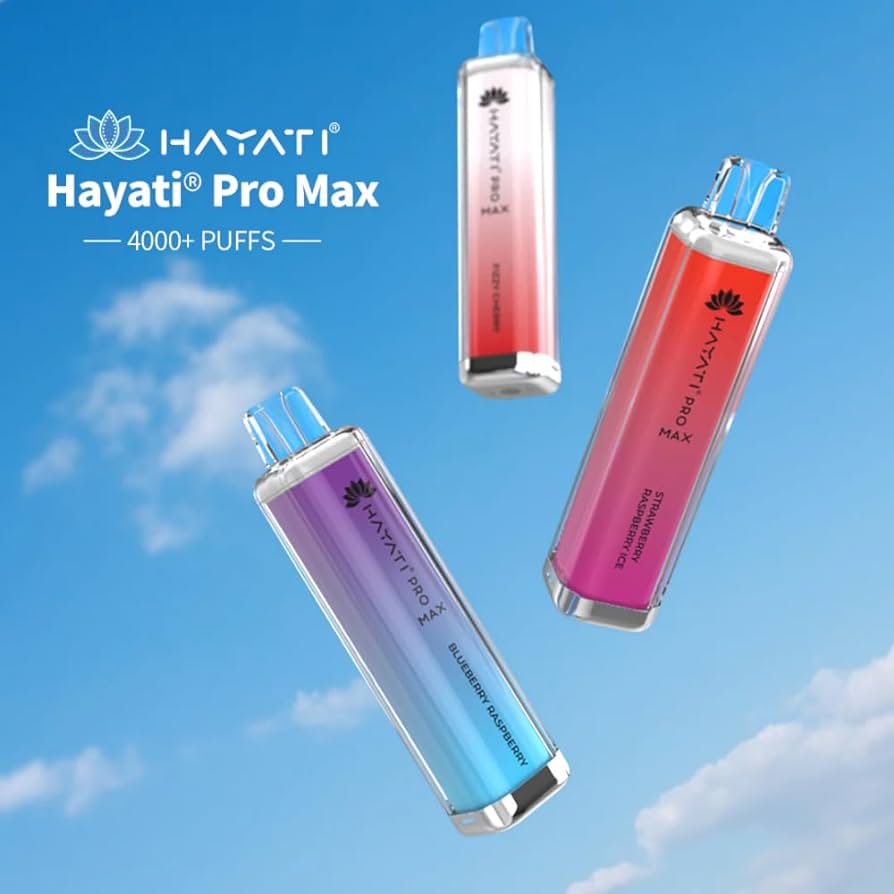 HAYATI PRO MAX 4000 DISPOSABLE VAPE 20mg Mesh Coil