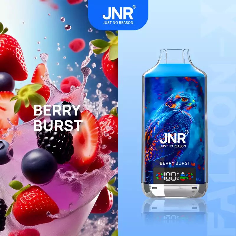 JNR 18000 18k Puffs Falcon X Vape Wholesale Price France Belgium Netherlands-950mAh Battery, 24ml E-liquid, Multiple Nicotine 28 Flavors
