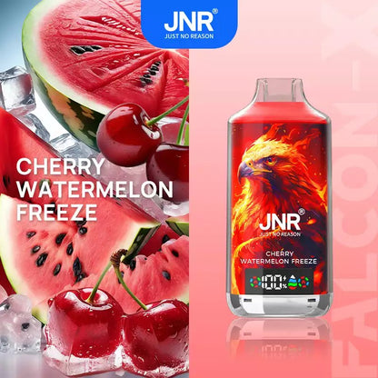 JNR 18000 18k Puffs Falcon X Vape Wholesale Price France Belgium Netherlands-950mAh Battery, 24ml E-liquid, Multiple Nicotine 28 Flavors