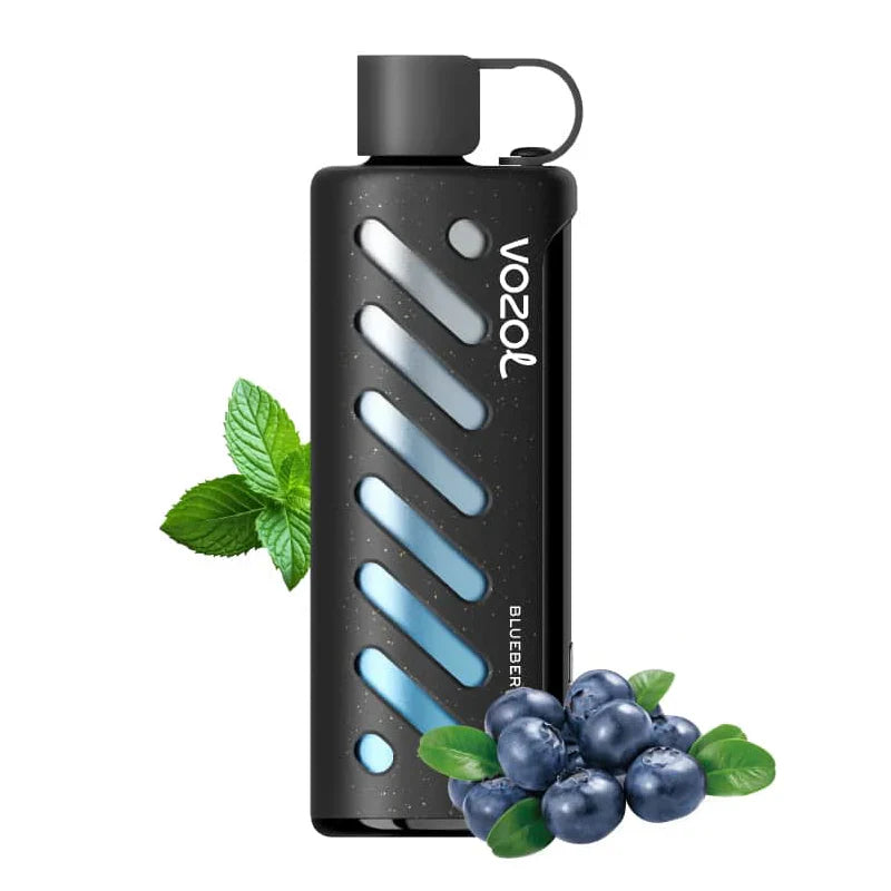 Vozol Gear Shisha 25000 Puffs Disposable Vape-1000mAh Battery, Multiple Nicotine 10 Flavors