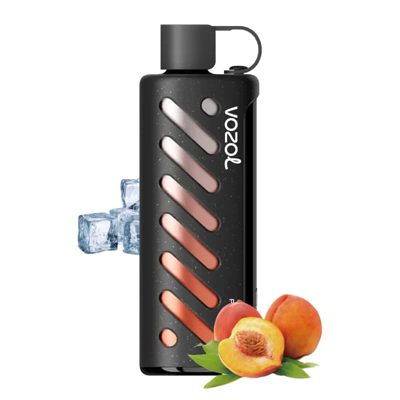 Vozol Gear Shisha 25000 Puffs Disposable Vape-1000mAh Battery, Multiple Nicotine 10 Flavors
