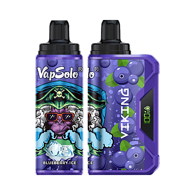VapSolo Viking 12K Puffs Disposable Vape | Ajustable Airflow,LCD Display,Type-C port