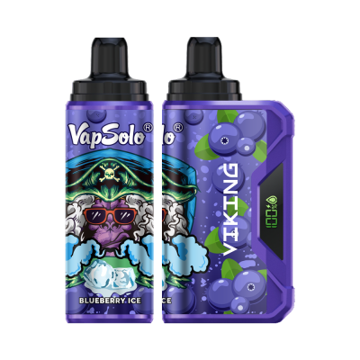 VapSolo Viking 12K Puffs Disposable Vape | Ajustable Airflow,LCD Display,Type-C port