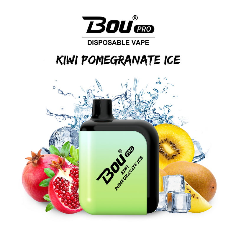Bou Pro 7000 Kit Rechargeable