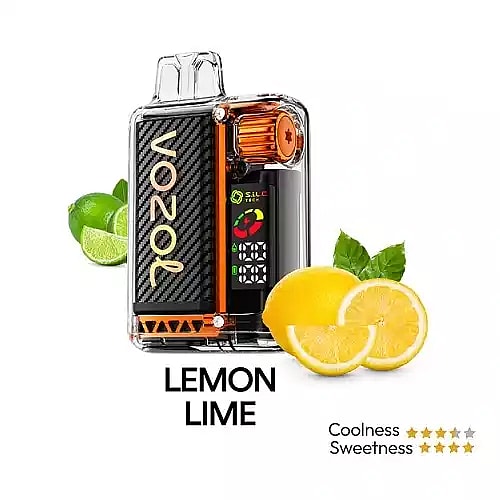 Vozol Vista 20K Puffs Disposable Vape | Dual Mesh with LED Digital Screen 20mL e-liquid 650mAh battery 17 unique flavors