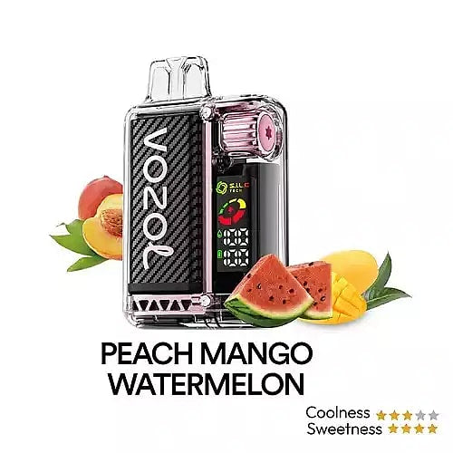 Vozol Vista 20K Puffs Disposable Vape | Dual Mesh with LED Digital Screen 20mL e-liquid 650mAh battery 17 unique flavors