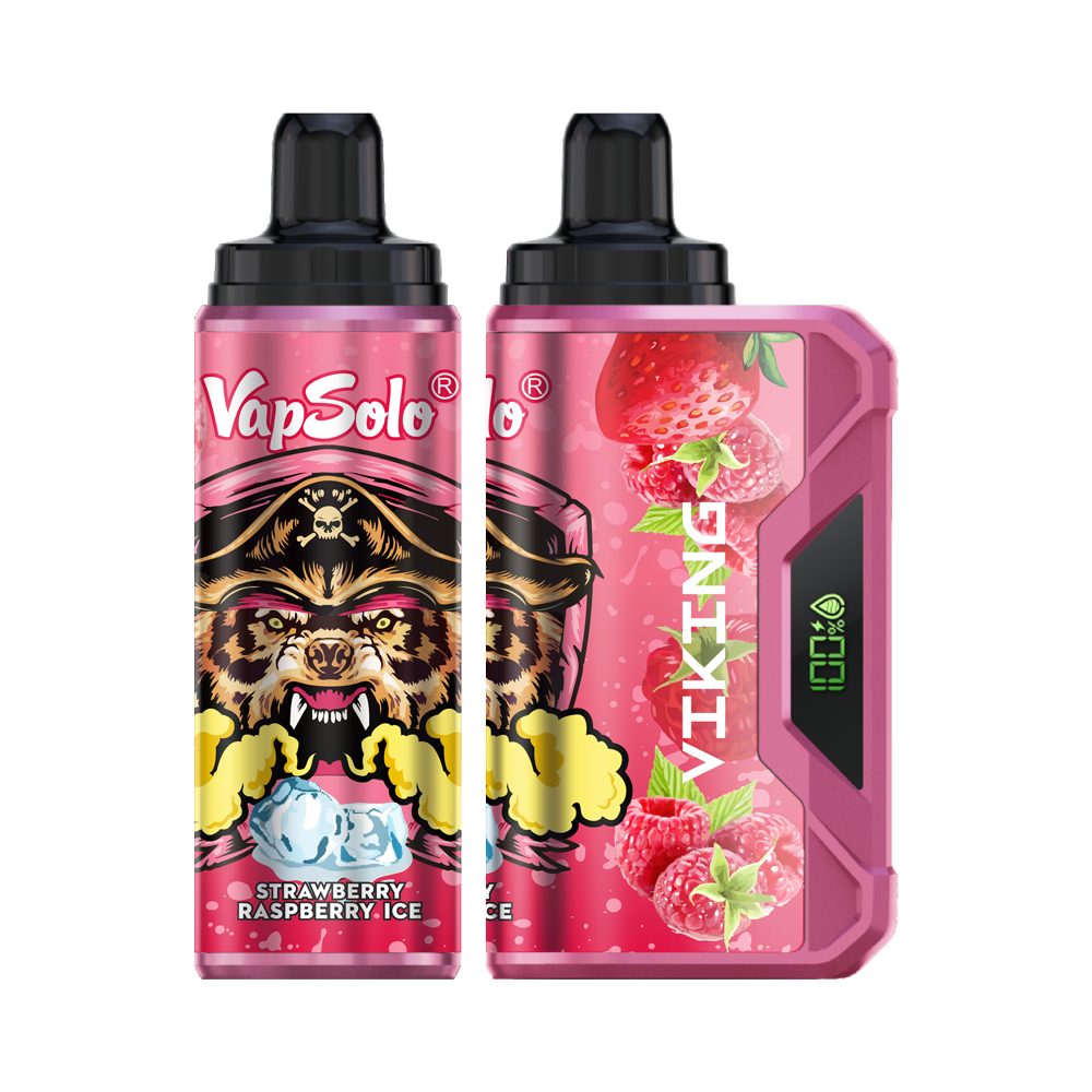 VapSolo Viking 12K Puffs Disposable Vape | Ajustable Airflow,LCD Display,Type-C port